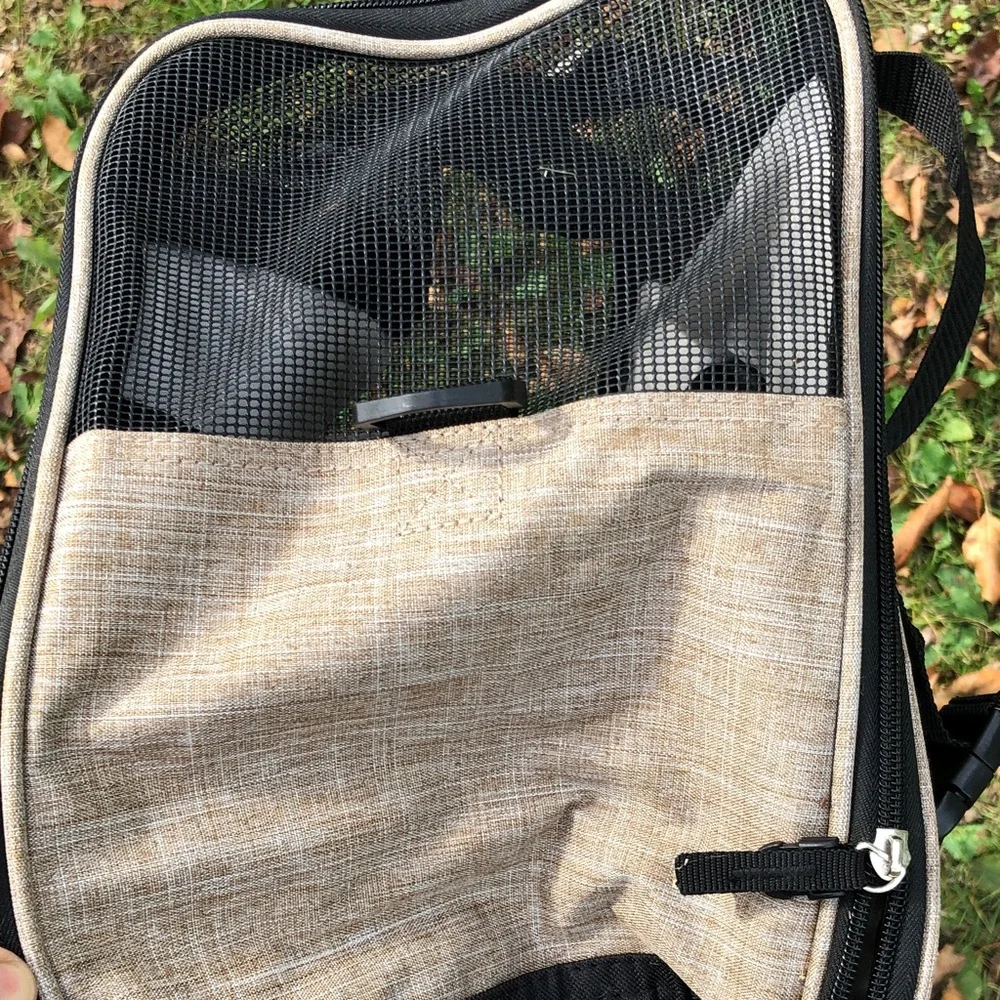 Pet Carrier with Mesh Panels